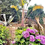 Apartamento Holibai, Xanela, Duplex, Mar, Naturaleza, Baiona, Galicia