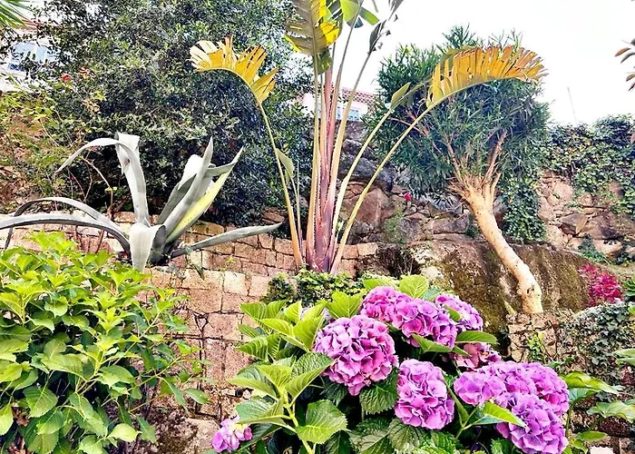 Appartamento Holibai, Xanela, Dúplex, Mar, Naturaleza, Baiona, Galicia